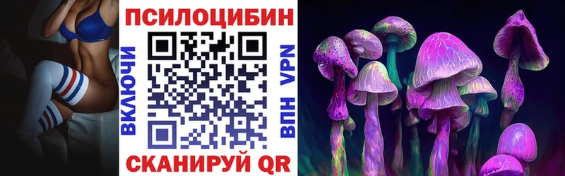Купить где  Мирный  Псилоцибиновые грибы мицелий 